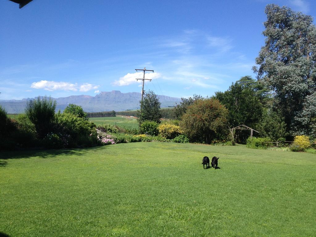 Little Acres Drakensberg Accommodation Champagne Valley Екстер'єр фото